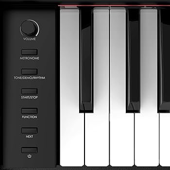 Amazon.com: Digital Piano, Full Size 88 Key Weighted Hammer